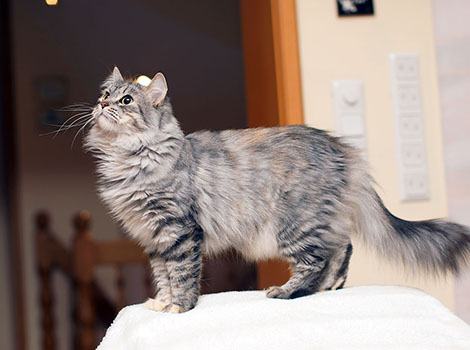 Raquel am 9.1.2022